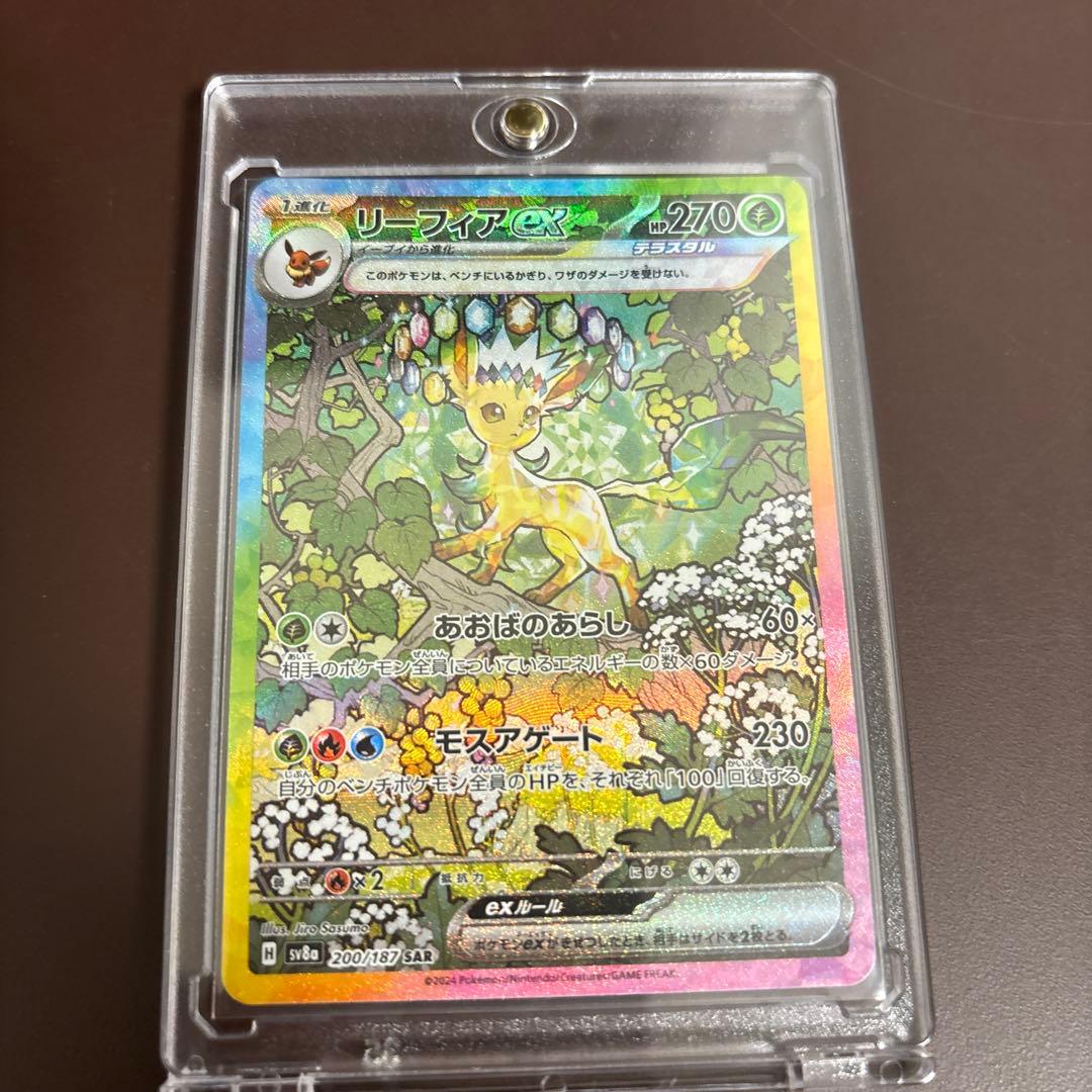 テラスタルフェスゴットパック9枚セット 美品